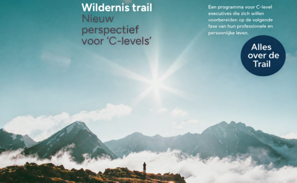 Wildernistrail flyer